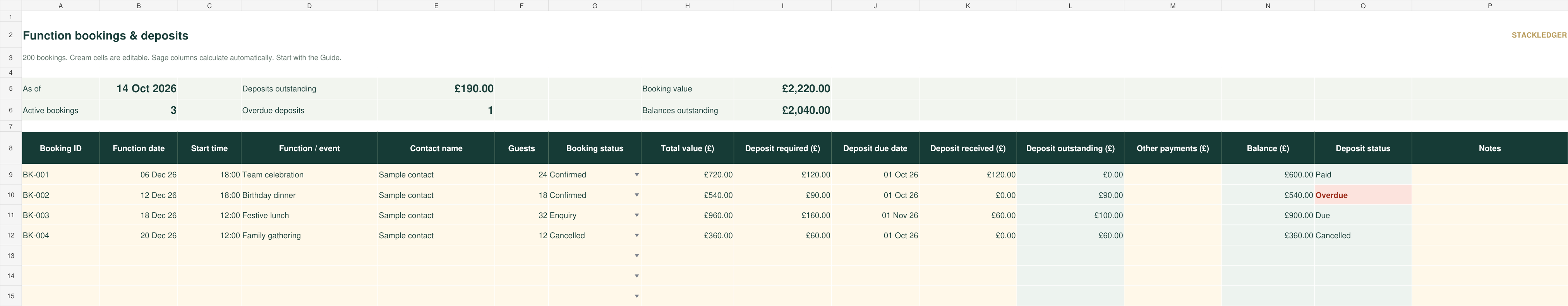 Function & deposit tracker workbook preview with sample data